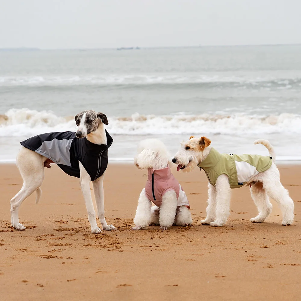 Customizable UV Protection Summer Dog Apparel